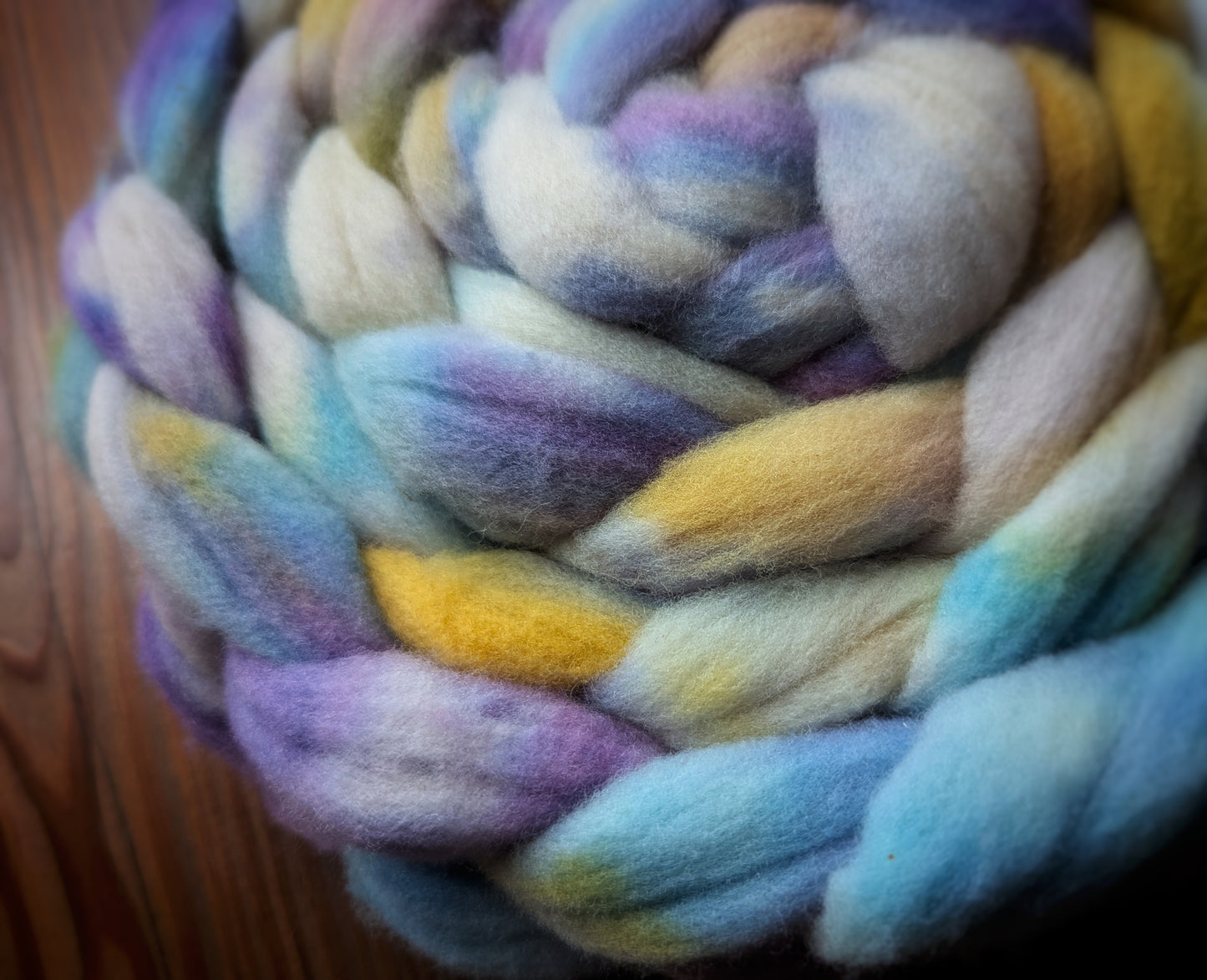 SALE Dragonfly French Merino Combed Top