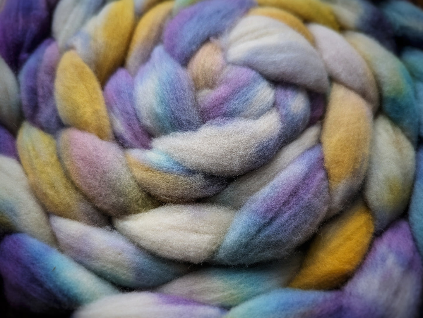 SALE Dragonfly French Merino Combed Top